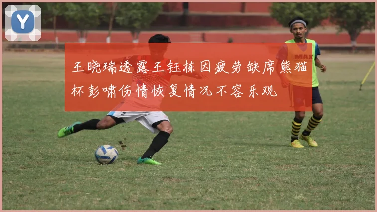 王晓瑞透露王钰栋因疲劳缺席熊猫杯彭啸伤情恢复情况不容乐观