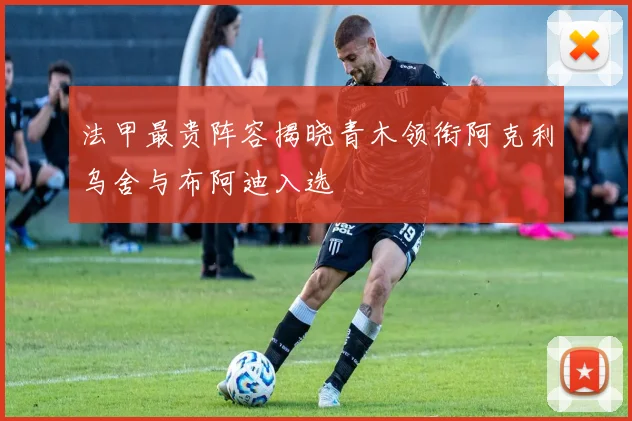 法甲最贵阵容揭晓青木领衔阿克利乌舍与布阿迪入选