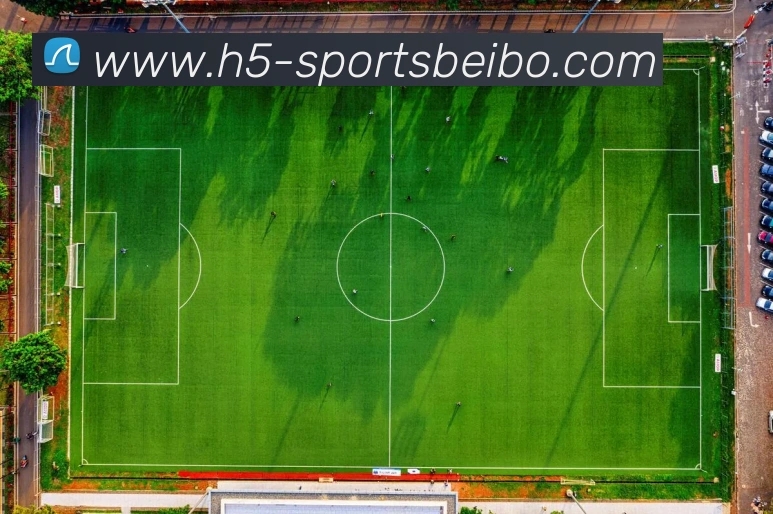 贝博体育服务体系