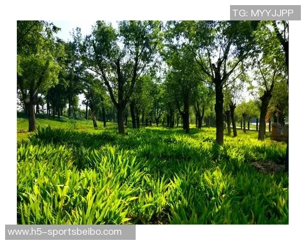 比克斯塔夫称赞艾维表现出色期待他未来更强劲的进步